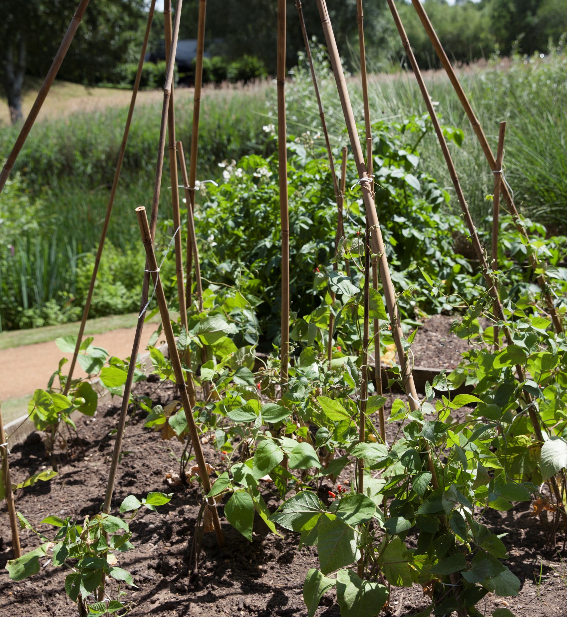 Herb Gardens | Green Park Business Park, Reading